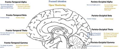 Review of the Neural Oscillations Underlying Meditation